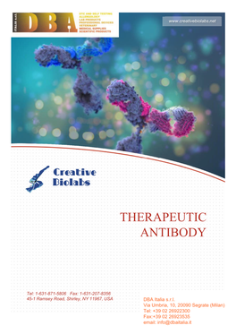 Therapeutic Antibody