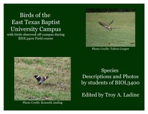 Birds of the East Texas Baptist University Campus with Birds Observed Off-Campus During BIOL3400 Field Course