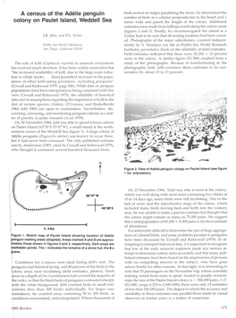 A Census of the Adélie Penguin Colony on Paulet Island, Weddell
