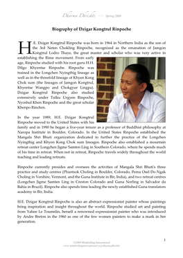 Biography of Dzigar Kongtrul Rinpoche