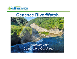 Genesee River Basin Report Card