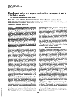 Homology of Amino Acid Sequences of Rat Liver Cathepsins B And