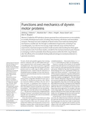 Functions and Mechanics of Dynein Motor Proteins