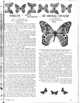 Insects of Dismal Swamp