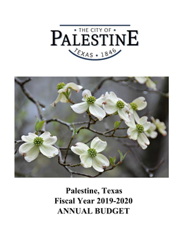 Palestine, Texas Fiscal Year 2019-2020 ANNUAL BUDGET