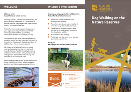 Dog Walking on the Nature Reserves Are a Haven for a Broad Array of Relating to Dog Walking