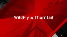 Wildfly & Thorntail