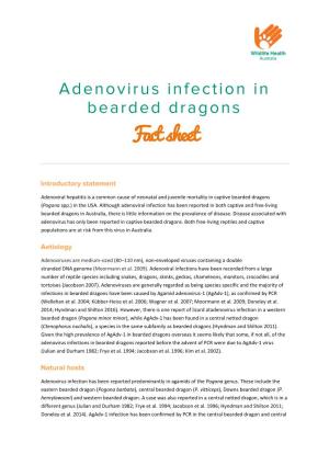 Adenovirus Infection in Bearde