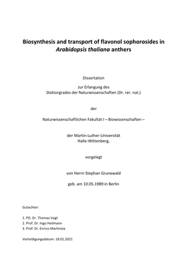 Biosynthesis and Transport of Flavonol Sophorosides in Arabidopsis Thaliana Anthers