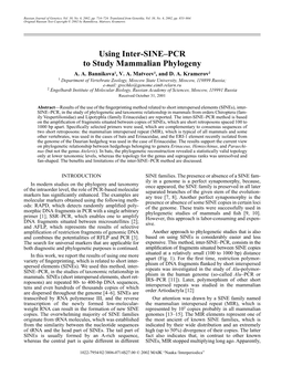 PCR to Study Mammalian Phylogeny A