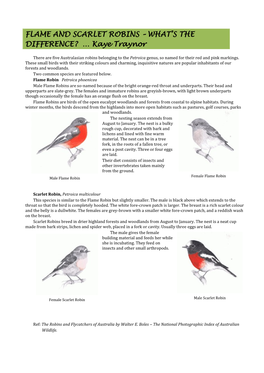 Flame and Scarlet Robins – What's the Difference?