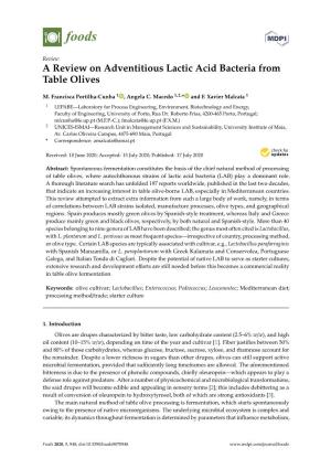 A Review on Adventitious Lactic Acid Bacteria from Table Olives