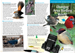 Dungog Area Birding Route