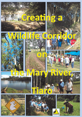 Creating a Wildlife Corridor on the Mary River, Tiaro