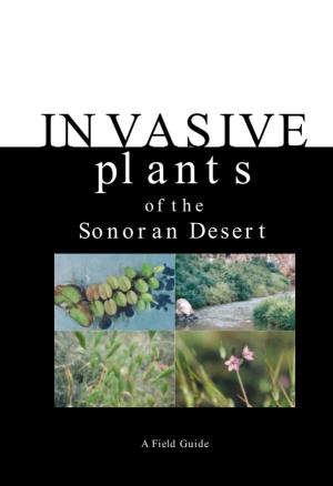 INVASIVE Plants of the Sonoran Desert
