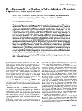 Three Conserved Glycine Residues in Valine Activation of Gramicidin S Synthetase 2 from Bacillus Brevis1