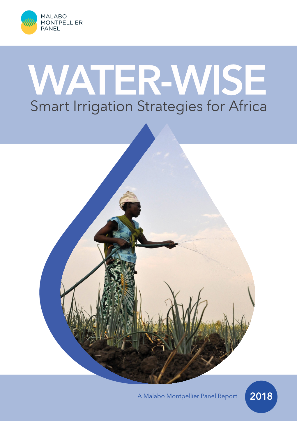 Report: WATER-WISE – Smart Irrigation Strategies for Africa