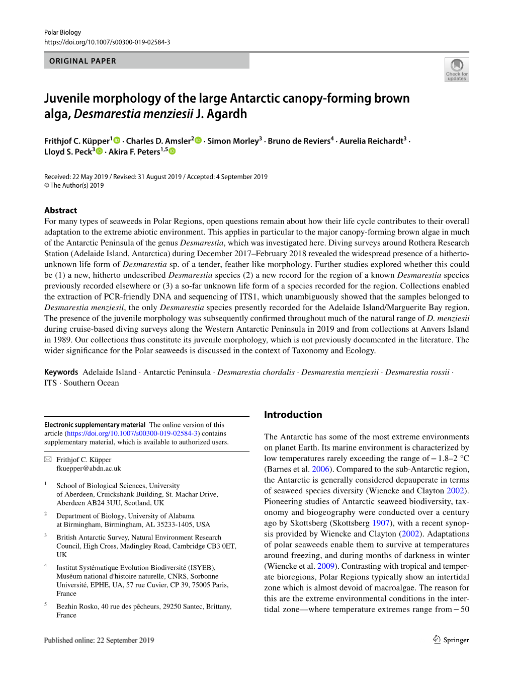Juvenile Morphology of the Large Antarctic Canopy-Forming Brown