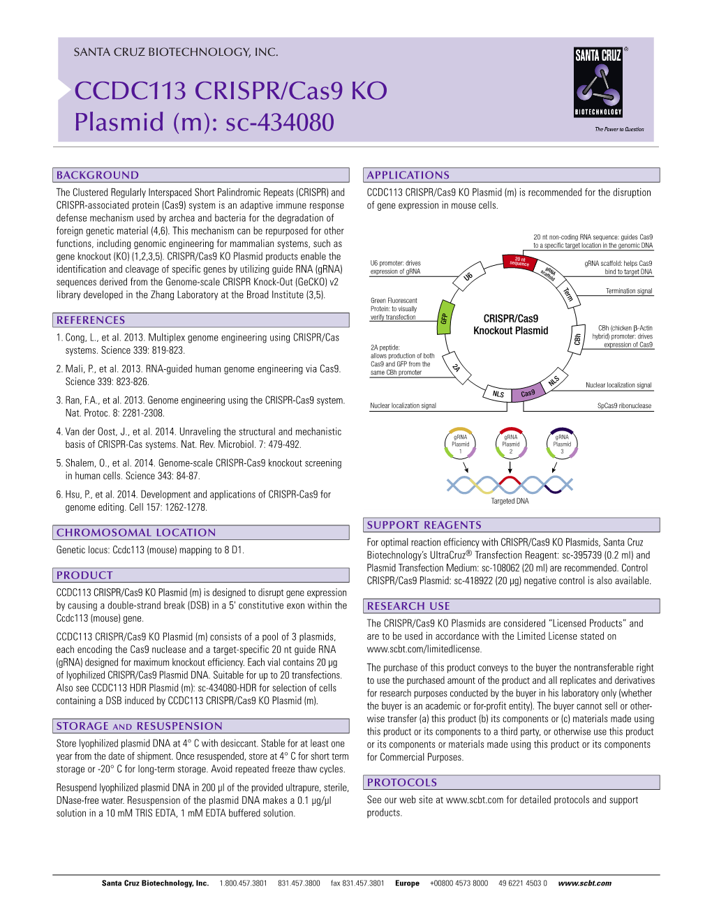 CCDC113 CRISPR/Cas9 KO Plasmid (M): Sc-434080