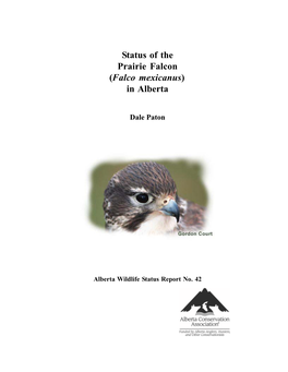 Status of the Prairie Falcon (Falco Mexicanus) in Alberta