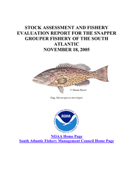 Stock Assessment and Fishery Evaluation Report for the Snapper Grouper Fishery of the South Atlantic November 18, 2005