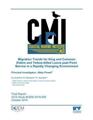Migration Trends for King and Common Eiders and Yellow-Billed Loons Past Point Barrow in a Rapidly Changing Environment