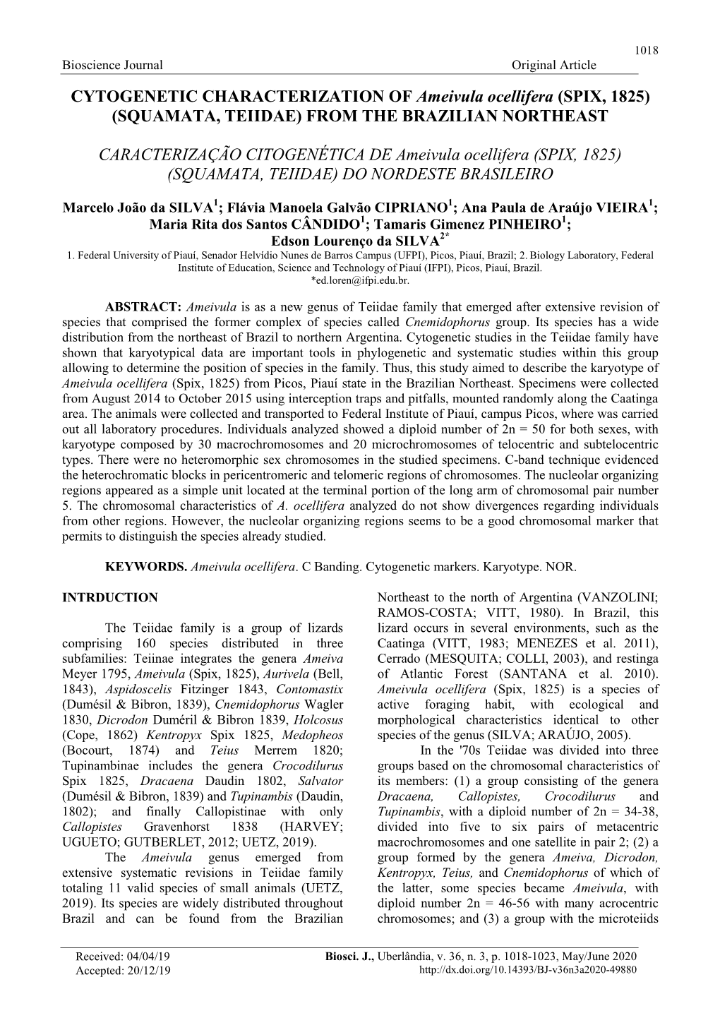 CYTOGENETIC CHARACTERIZATION of Ameivula Ocellifera (SPIX, 1825) (SQUAMATA, TEIIDAE) from the BRAZILIAN NORTHEAST