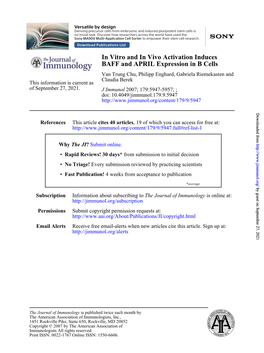 BAFF and APRIL Expression in B Cells in Vitro and in Vivo