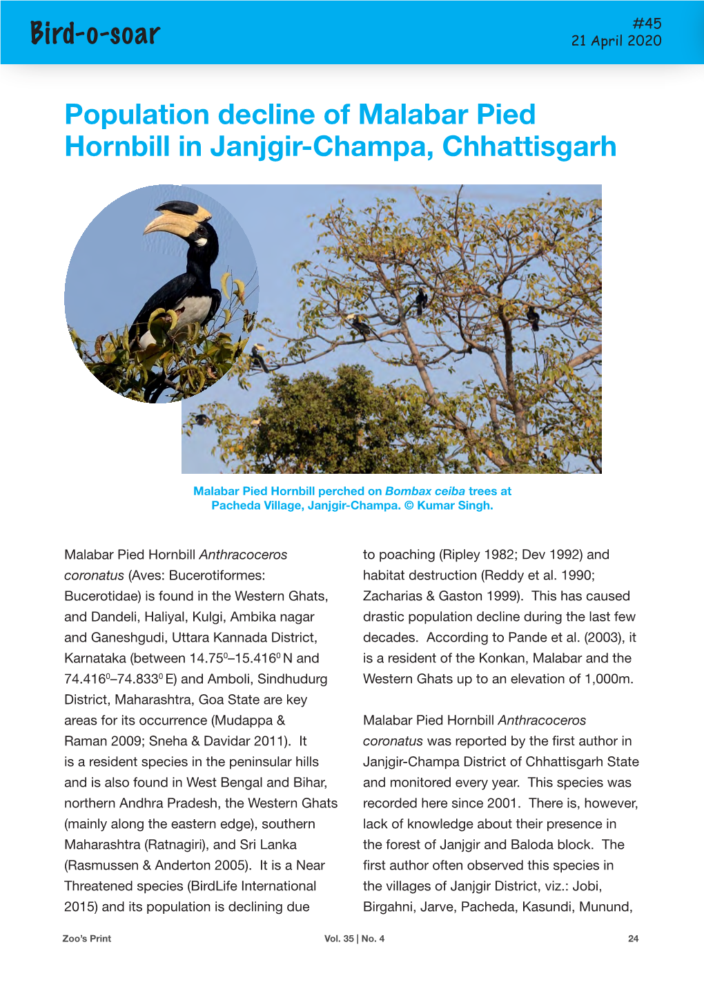 Bird-O-Soar Population Decline of Malabar Pied Hornbill in Janjgir-Champa, Chhattisgarh