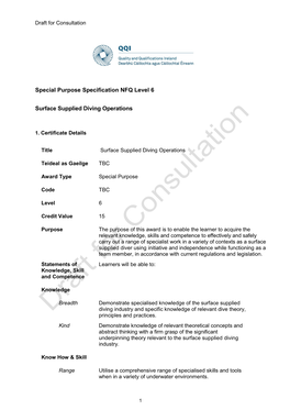Special Purpose Specification NFQ Level 6 Surface Supplied Diving