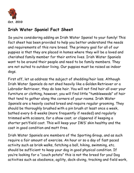 Irish Water Spaniel Fact Sheet