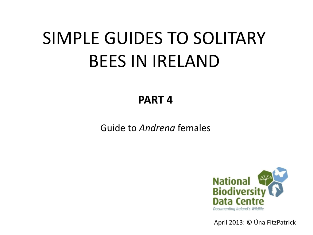 Simple Guides to Solitary Bees in Ireland