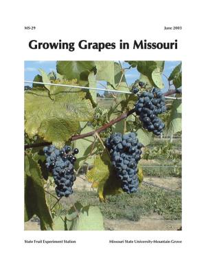 Growing Grapes in Missouri