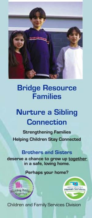 Bridge Resource Families: Nurture a Sibling Connection