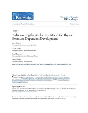 Rediscovering the Axolotl As a Model for Thyroid Hormone Dependent Development Anne Crowner University of Kentucky, Anne.Crowner@Uky.Edu