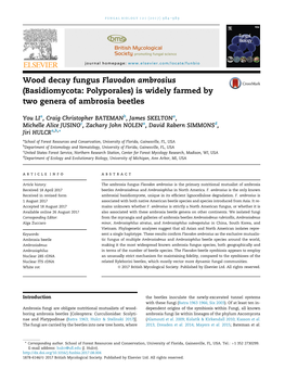 Wood Decay Fungus Flavodon Ambrosius (Basidiomycota: Polyporales) Is Widely Farmed by Two Genera of Ambrosia Beetles