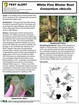 Cronartium Ribicola Division of Forests and Lands Forest Protection Bureau–Forest Health Section