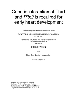 Genetic Interaction of Tbx1 and Pitx2 Is Required for Early Heart Development