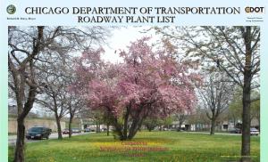 Chicago Department of Transportation Roadway Plant List