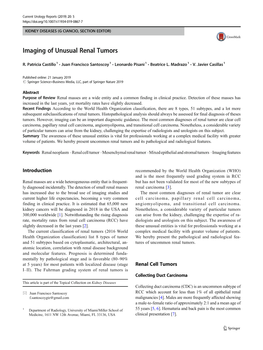 Imaging of Unusual Renal Tumors