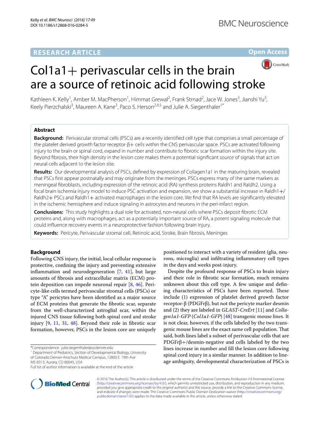 Col1a1+ Perivascular Cells in the Brain Are a Source of Retinoic Acid Following Stroke