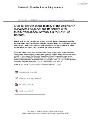 (Coryphaena Hippurus) and Its Fishery in the Mediterranean Sea: Advances in the Last Two Decades