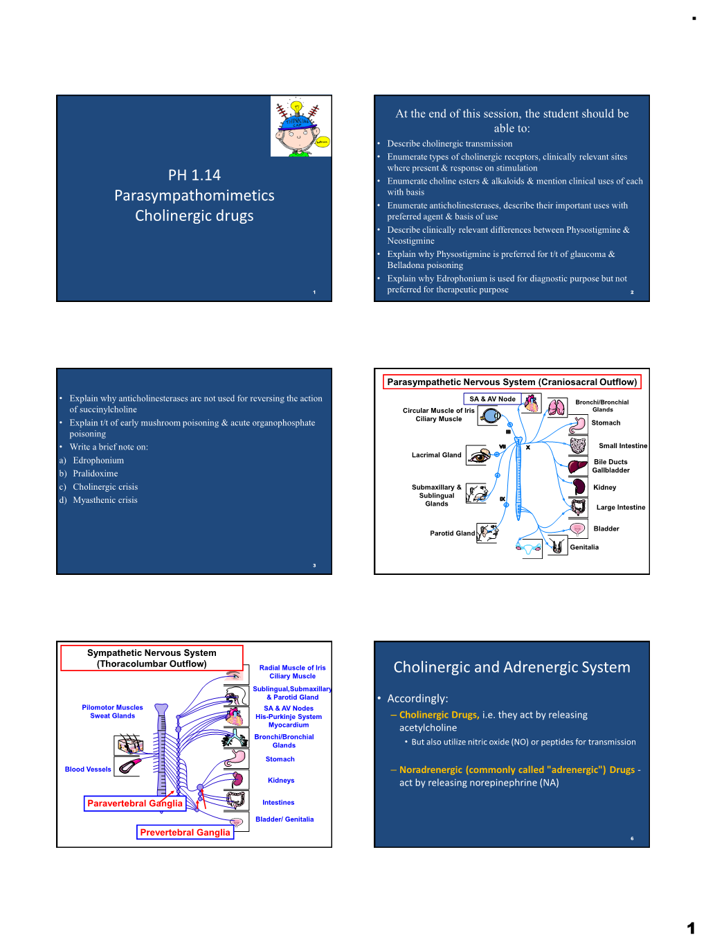 PH 1.14 Parasympathomimetics Cholinergic Drugs Cholinergic and Adrenergic System