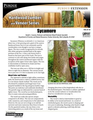 Hardwood Lumber and Veneer Series: Sycamore