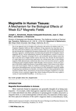 Magnetite in Human Tissues: a Mechanism for the Biological Effects of Weak ELF Magnetic Fields