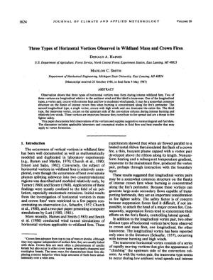 Three Types of Horizontal Vortices Observed in Wildland Mass And
