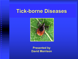 Tick-Borne Diseases