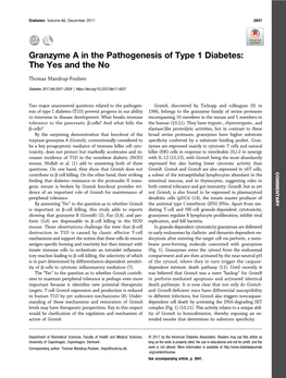 Granzyme a in the Pathogenesis of Type 1 Diabetes: the Yes and the No