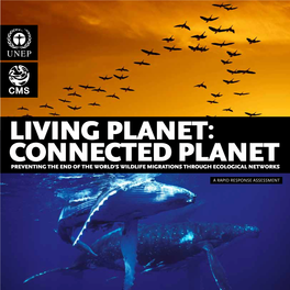 Living Planet: Connected Planet Preventing the End of the World’S Wildlife Migrations Through Ecological Networks