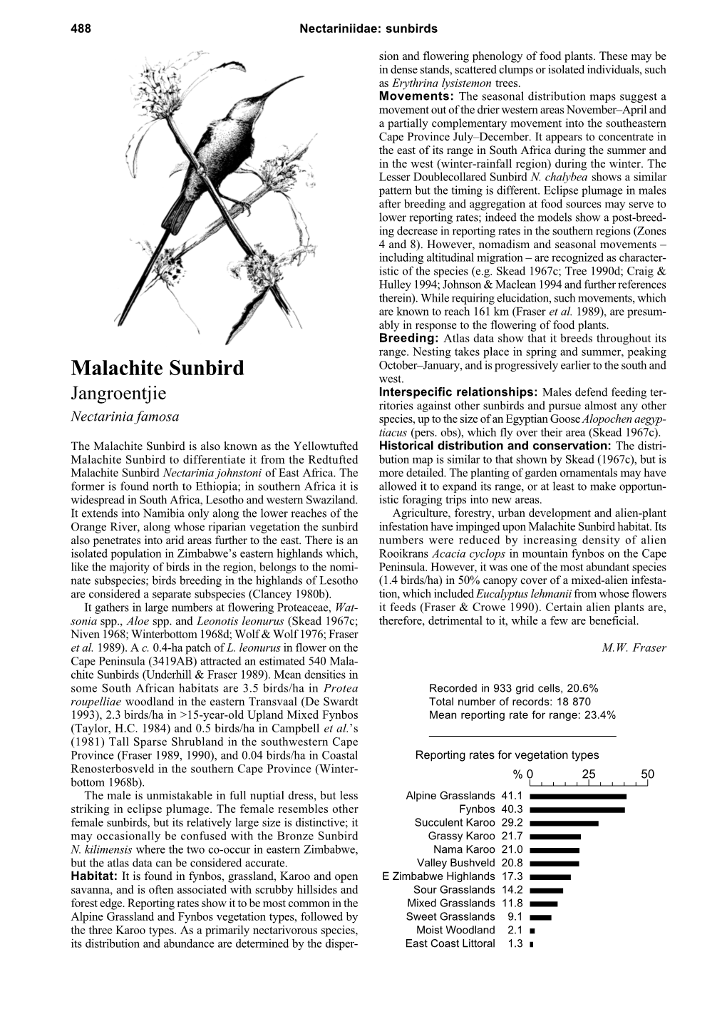 Malachite Sunbird West